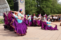 081415_48_428X0A7607