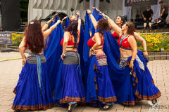 TheVelvetSerpents180824_0012