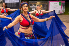 TheVelvetSerpents180824_0014