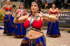 TheVelvetSerpents180824_0016