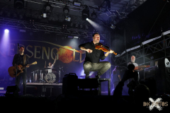 Versengold160722_0101
