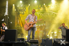Versengold270724_0035