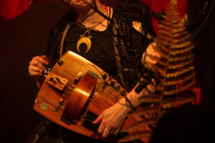 Waldkauz_20251017_09