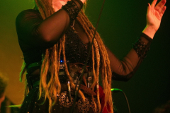 Waldkauz_20251017_34