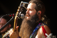 SKHKoeln2025_Waldlaeufer_02